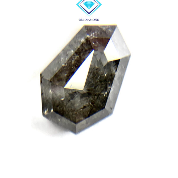 Shield Cut Salt and Pepper Diamond - Image 3